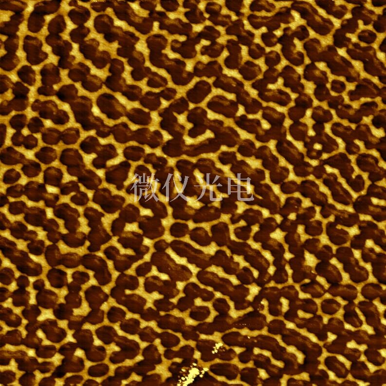 afm原子力显微镜应用于观测聚合物网络结构的介绍